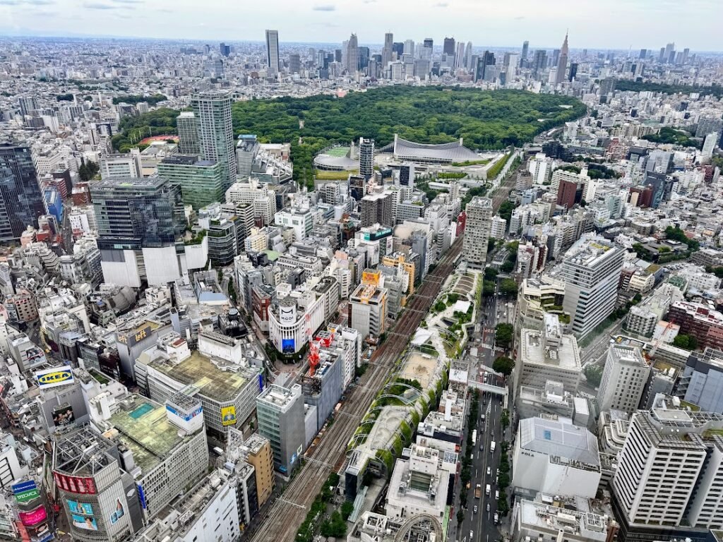 Central Tokyo skyline and rail lines viewed from above
