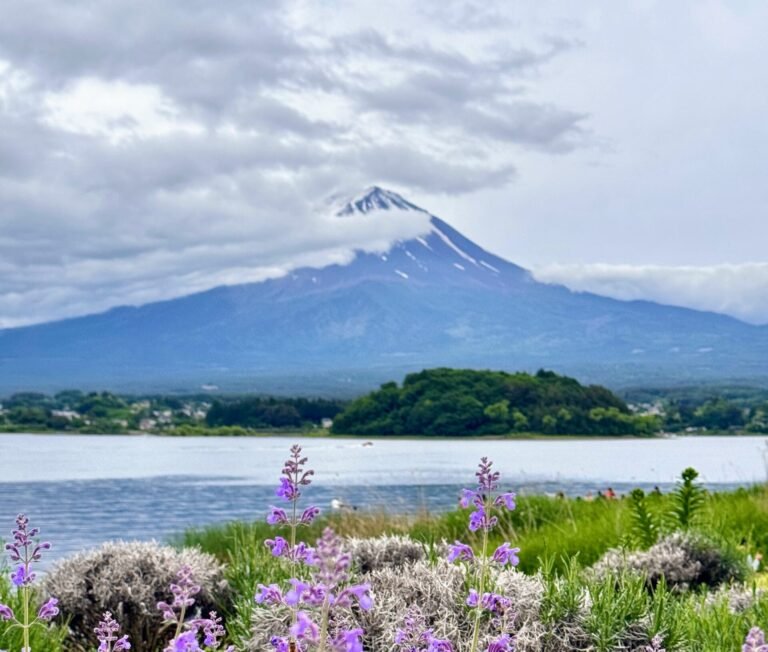 Mount Fuji seen from Lake Kawaguchi with seasonal flowers