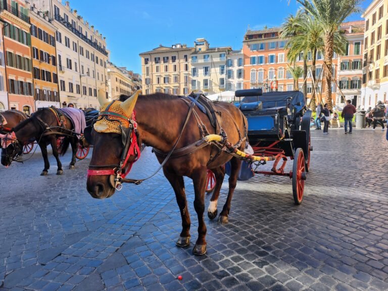 Piazza di Spagna and the Spanish Steps in Rome