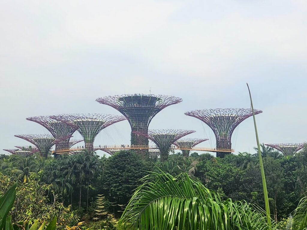Gardens by the Bay Supertree Grove in Singapore