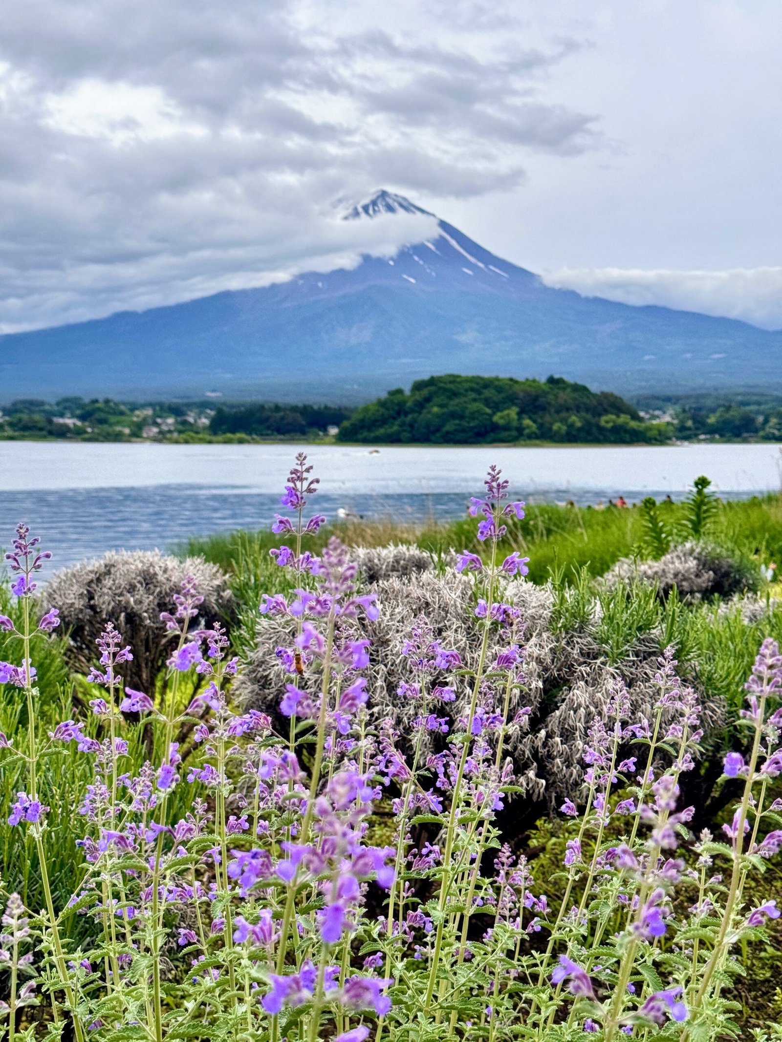 Mount Fuji viewed during a day trip from Tokyo