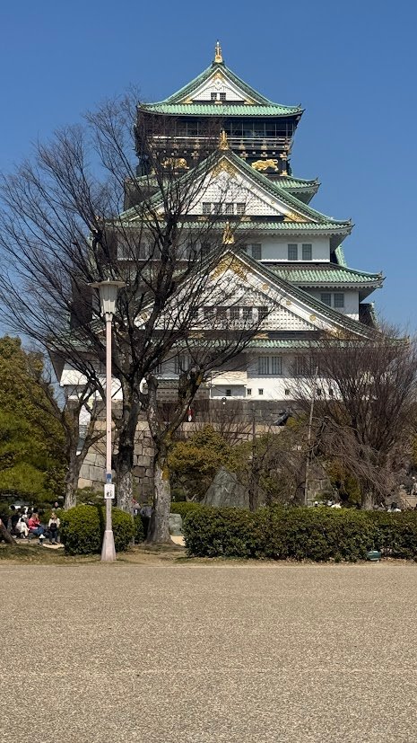 Historic Osaka Castle surrounded by trees under a clear blue sky.