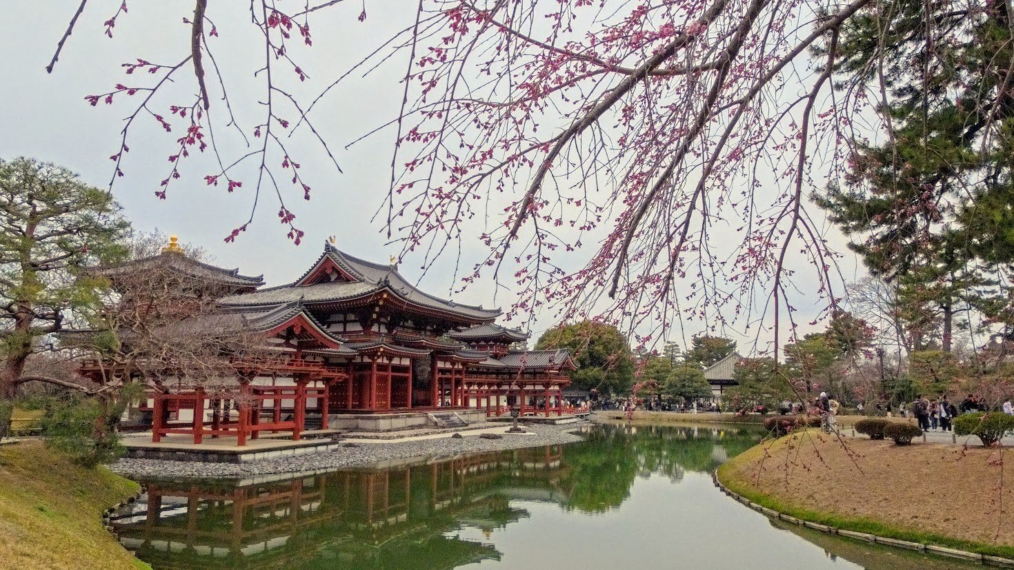 Byodo-in Temple in Kyoto reflected in the pond with early spring blossoms