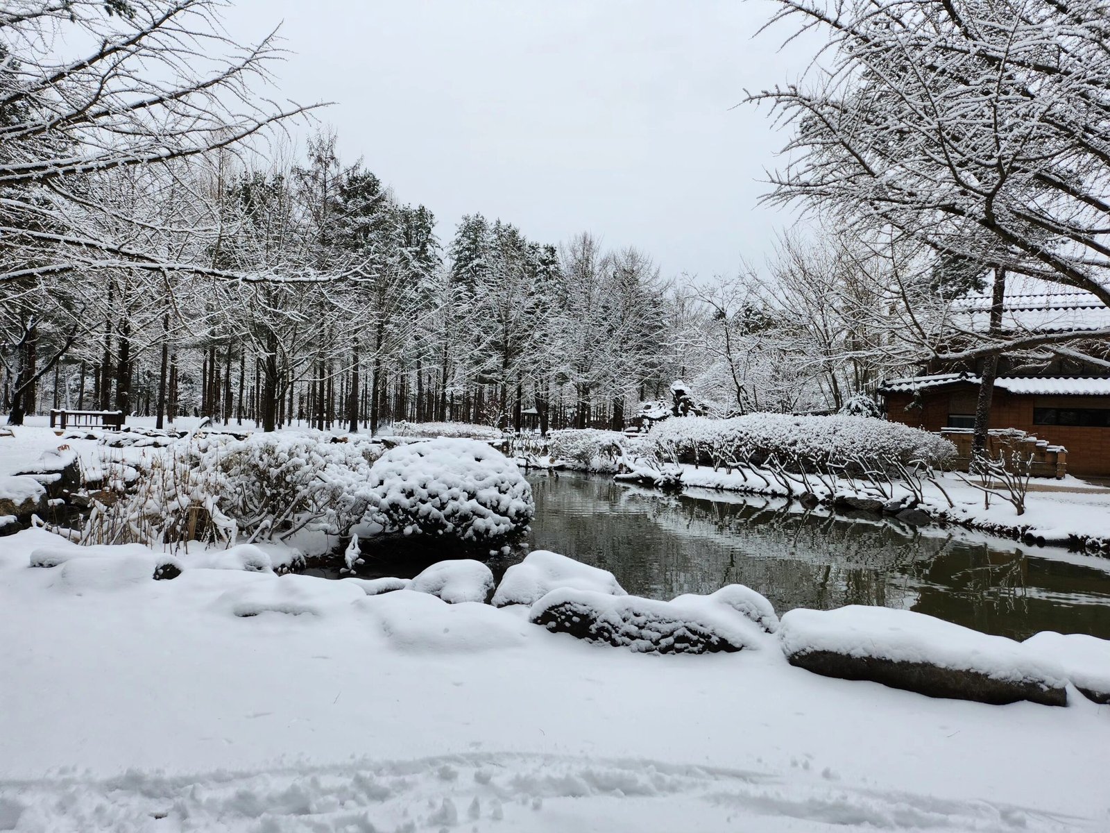 Snow-covered trees and a quiet pond on Nami Island