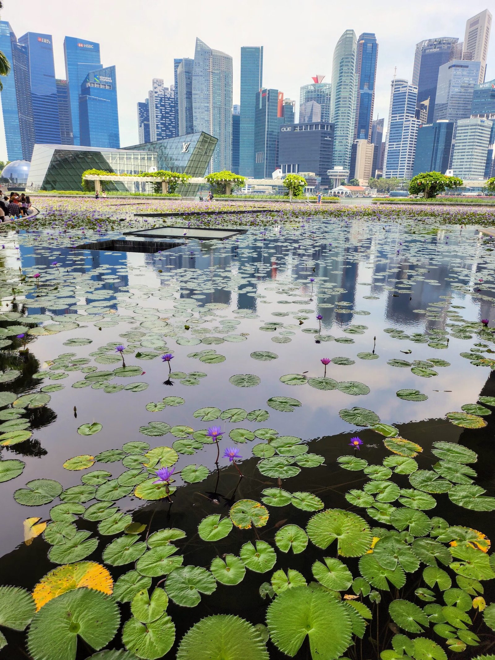 Marina Bay Sands and the Singapore skyline