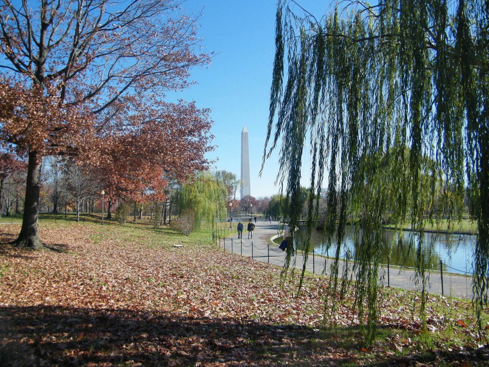 Washington Monument framed by autumn trees on the National Mall